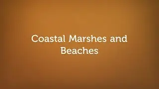 Alabama Soils: Coastal Marshes and Beaches