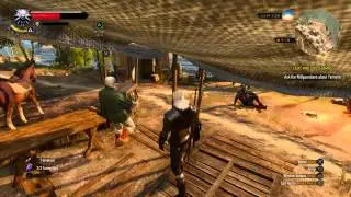 The Witcher 3: [MANUAL LABOUR SUCKS]