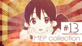 COLLECTION #13