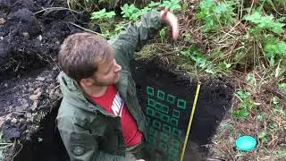 Экспресс-методология модальных почвенных пар