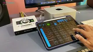 National song - Instrumental - Veena on ipad
