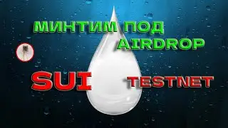 SUI TESTNET запущен!!!!  Возможен AIRDROP! Получи 4 NFT за 5 минут!