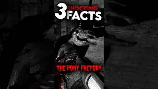 3 Terrifying Facts About The Pony Factory #gaming #gamer #horrorgaming #theponyfactory #shorts
