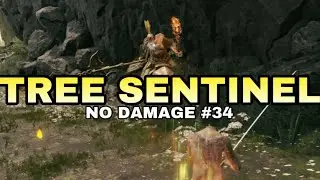 Tree Sentinel Boss Fight (No Damage) Elden Ring Shadow of The Erdtree