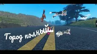 Это Сан-Франциско! Идея - @WCUE_vishnia Спасибо всем кто помог!)
