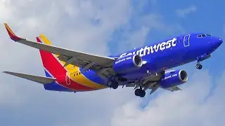 SOUTHWEST ACTION AT EWR | Boeing 737 Landings at Newark Liberty Airport (HD Plane Spotting)
