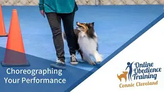 Choreographing Your Obedience Performance