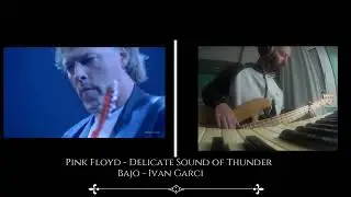 Delicate sound of Thunder - Pink Floyd. (Ivan Garci bass)