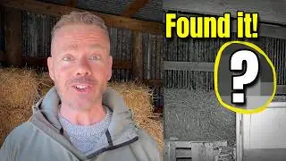 Something Has Moved Into The Stable… (Hidden Camera Reveal)