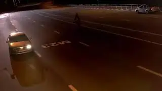 На трассе М23 стая волков напала на пост ГИБДД