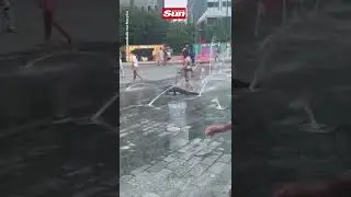 Girl walks emotional-support alligator through Philadelphia Park 