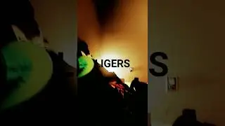 Ligers/Tigons