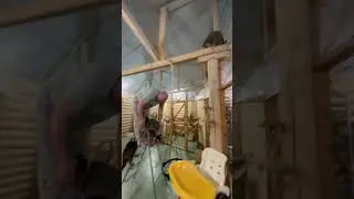 Енотный цирк дюсолей🎪