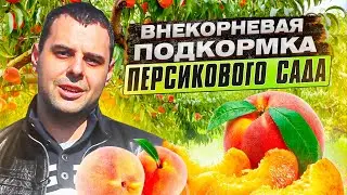 Первая ВНЕКОРНЕВАЯ ПОДКОРМКА персикового сада. Баковая смесь Хелатин БОР и ПЛАНТАТОР 10.54.10.
