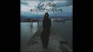 Serhat Durmus - La Câlin (Obiymy) [LRSD Rmx]