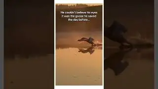 he adopted the whole family