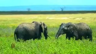 Amboseli Serena Safari Lodge