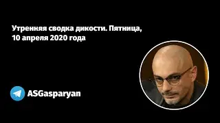 Утренняя сводка дикости. Пятница, 10 апреля 2020 года
