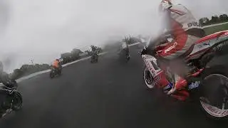Michelle Smyth Wet Mondello