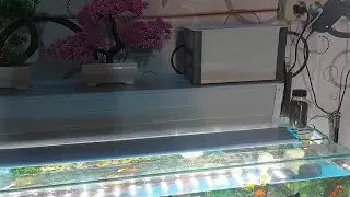 menambah kan box filter khusus busa aquarium