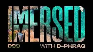 Immersed 099 (29 July 2024)