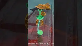 How to build a flying machine in Tears of the kingdom