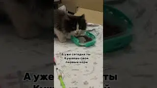 У нас пополнение 🙌🏻 сами не ожидали