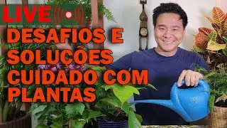Desafios e Soluções no Cuidado de Plantas