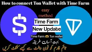 Time Farm new latest update! How to connect Ton Wallet with Time Farm