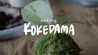 Making Kokedama