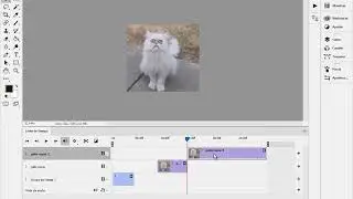 Transiciones de video en Photoshop