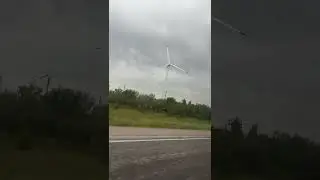 козогистон 2022