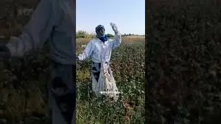 15 октября 2024 г.