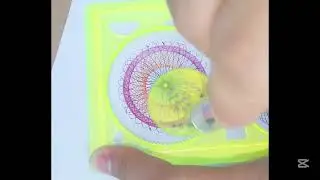 The Ultimate Spirograph Design Challenge P430 2025 #shorts #youtubeshorts #shortvideos