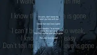 Slander - love is gone(lyrics)