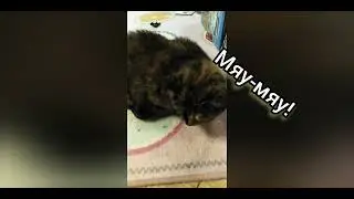 Обычный лего мультик / ЯШ ТВ ОТ Яши #15