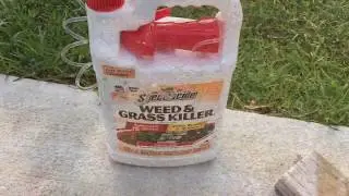 Spectracide Weed and Grass Killer - Full 24hr Review - Part 1 of 2