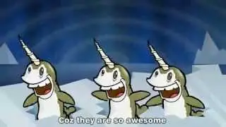 Narwhals song