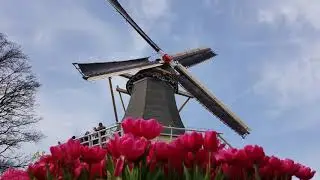 Beautiful Spring