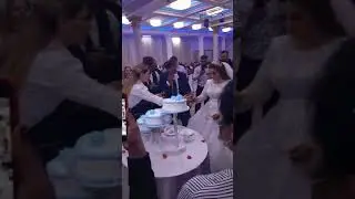 туйи Помери Шавкат Комила