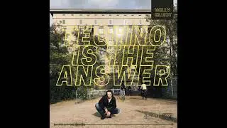 Willy Elliot - TECHNO IS THE ANSWER