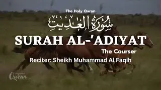 Surah Al 'Adiyat 100 | Muhammad Al Faqih | #quran #surahadiyat #islam