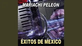 Por El Amor A Mi Madre