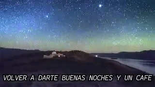GIRASOLES' (VIDEO OFICIAL)