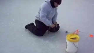 Ice fishing Trout