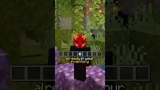Spawn Into Minecraft WITH A DIAMOND? (RARE Seed)
