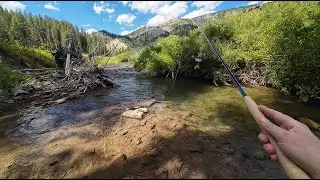 Bike Fishing an Idaho Creek with the NIRVANA Kokoro 360 Tenkara Rod 8-16-2024