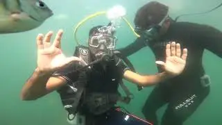 Scuba diving