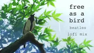 free as a bird (the beatles) // lofi chill mix 🐦