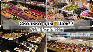 Турция отдых в Декабре/Шок!!/Очень много еды/Все включено за копейки😍